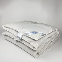 Одеяло пуховое облегченное Climate-comfort с серым пухом G Iglen 172x205