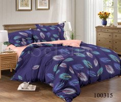 Комплект постельного белья бязь люкс Selena 100315 Перышки синие